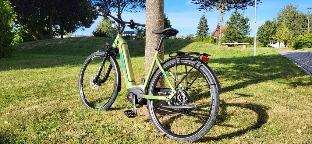 TRENOLI TANARO CLASSICO PERFORMANCE LG 10 pale green matt 2024 28" 625 Wh Wave